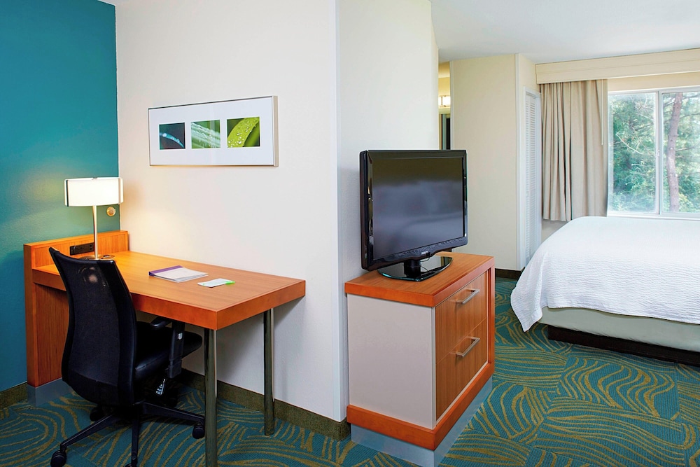 Springhill Suites By Marriott Atlanta Six Flags - photo 6