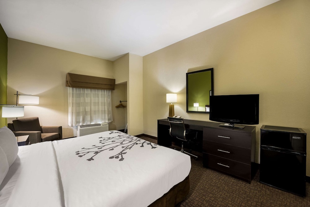 Sleep Inn & Suites Valdosta Mall Area - photo 6