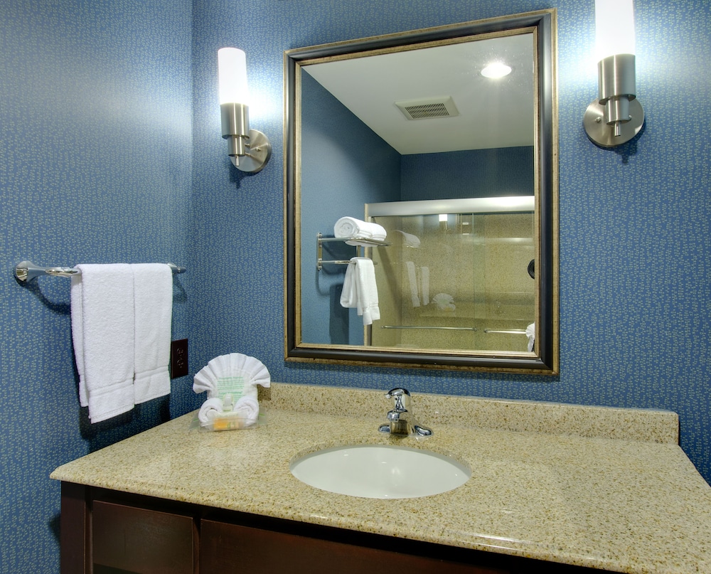 Holiday Inn Houston East Channelview by IHG - photo 9
