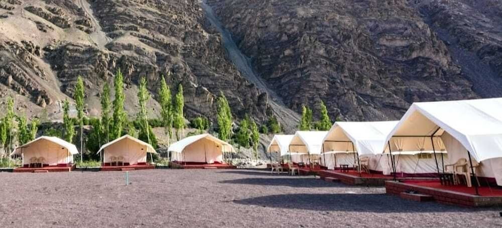 Apple Orchard Ule in Leh, India