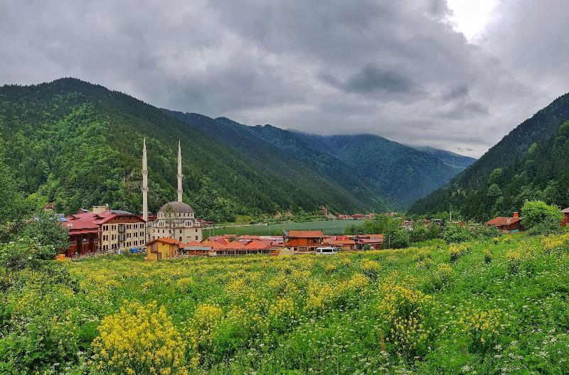 Ilhan Kardesler Apart Hotel in Caykara, Turkey