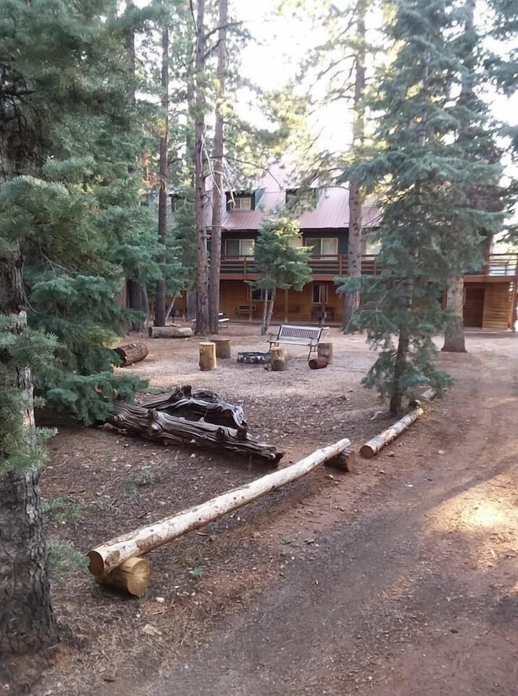 Pinewoods Resort - photo 40