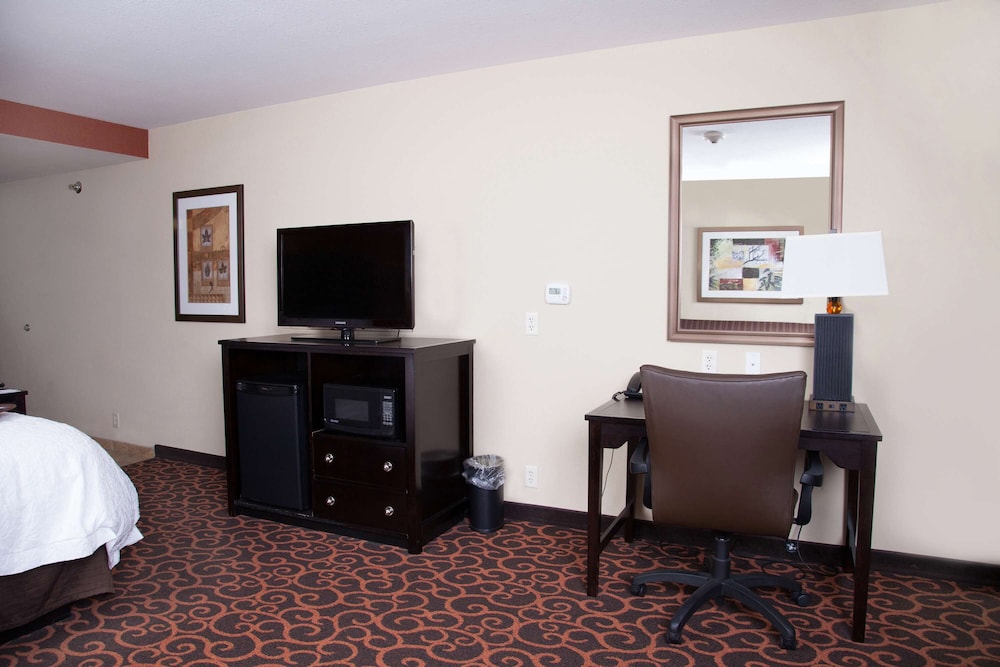 Hampton Inn & Suites Dickinson - photo 16