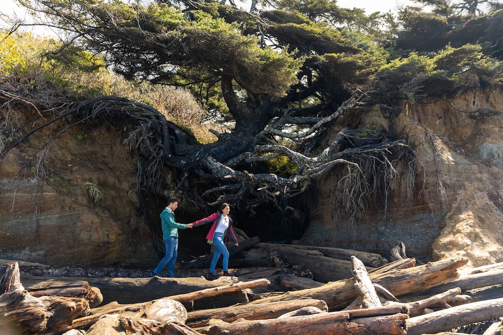 Kalaloch Lodge in Olympic National Park - photo 17