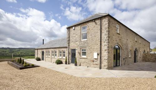 Dexter in Richmond, United Kingdom