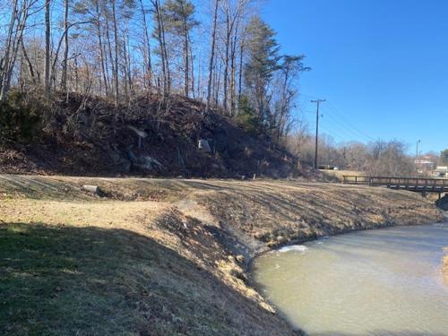 Andy Griffith Parkway Inn - photo 20