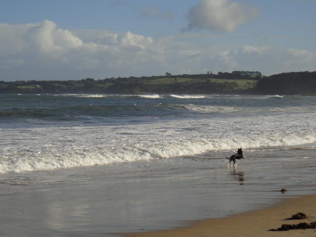 Bayplay Beach Accommodation — Rye
