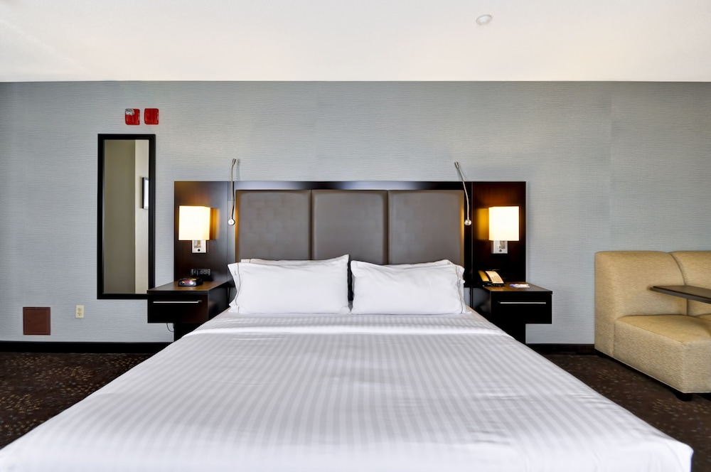 Holiday Inn Express Romulus Detroit Airport - photo 6
