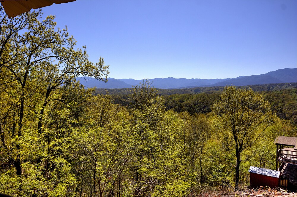 Grandpa Bear's View #233 - photo 53