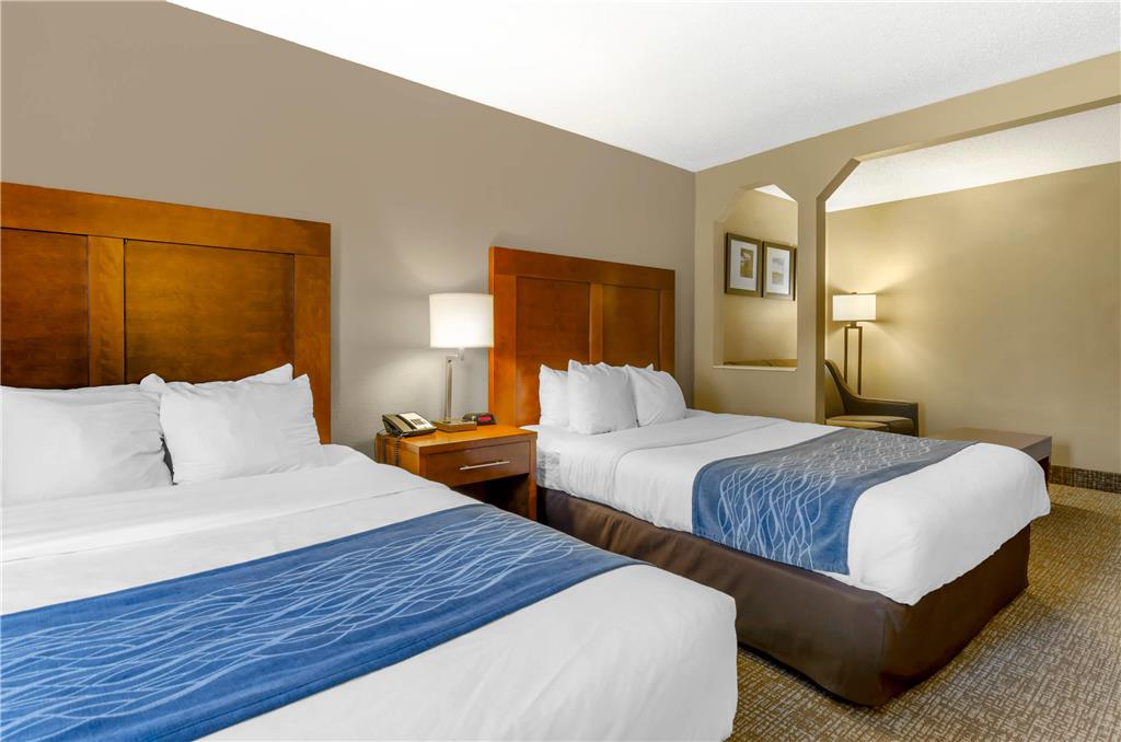 Comfort Inn & Suites Christiansburg I 81 - photo 19