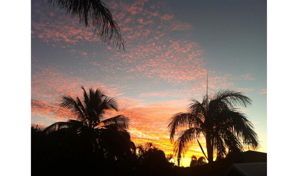 Beachside Bed & Breakfast — Mackay — photo 2