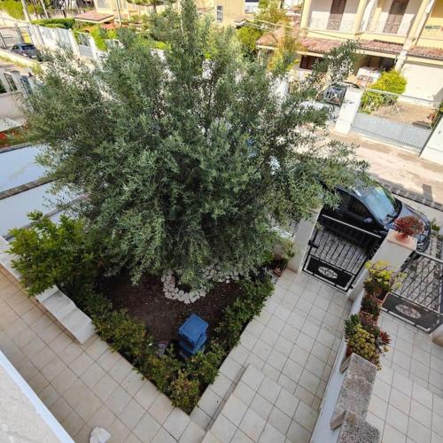 Honey Fede — 4-Star Luxury Hotel in Taranto, Italy