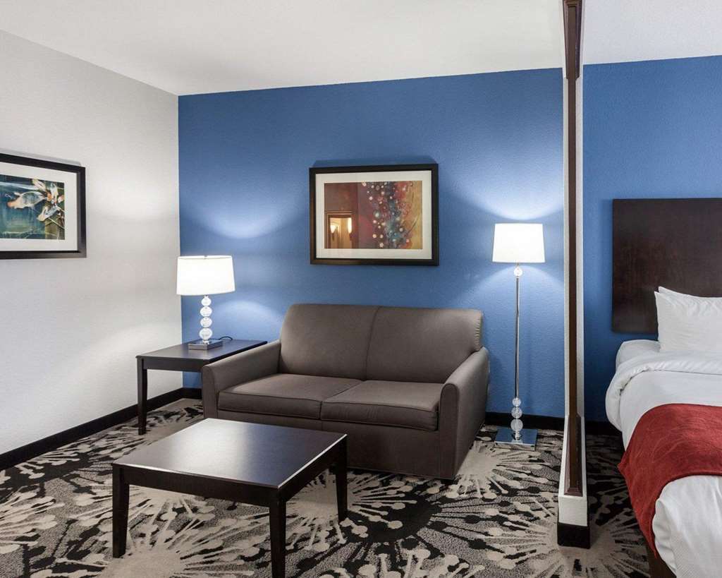 Comfort Suites Greenville - photo 19