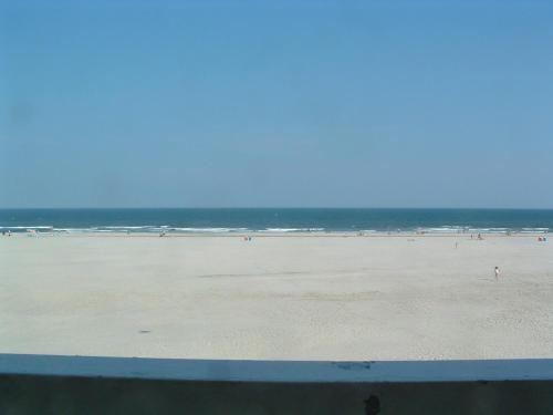 Bal Harbour Hotels - photo 67
