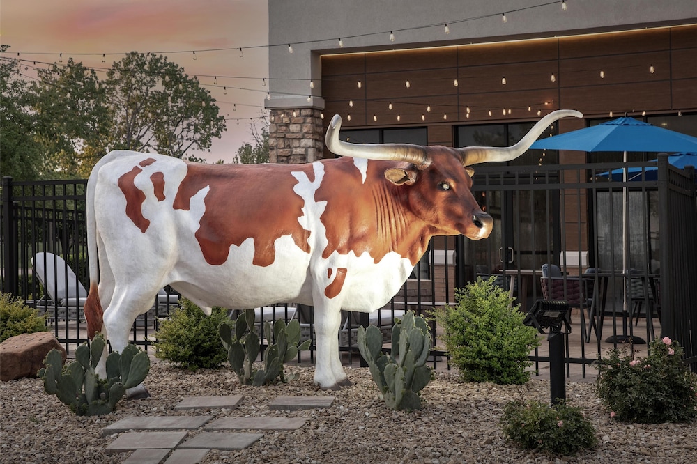 Hampton Inn & Suites Dallas Dfw Arpt W Sh 183 Hurst - photo 38