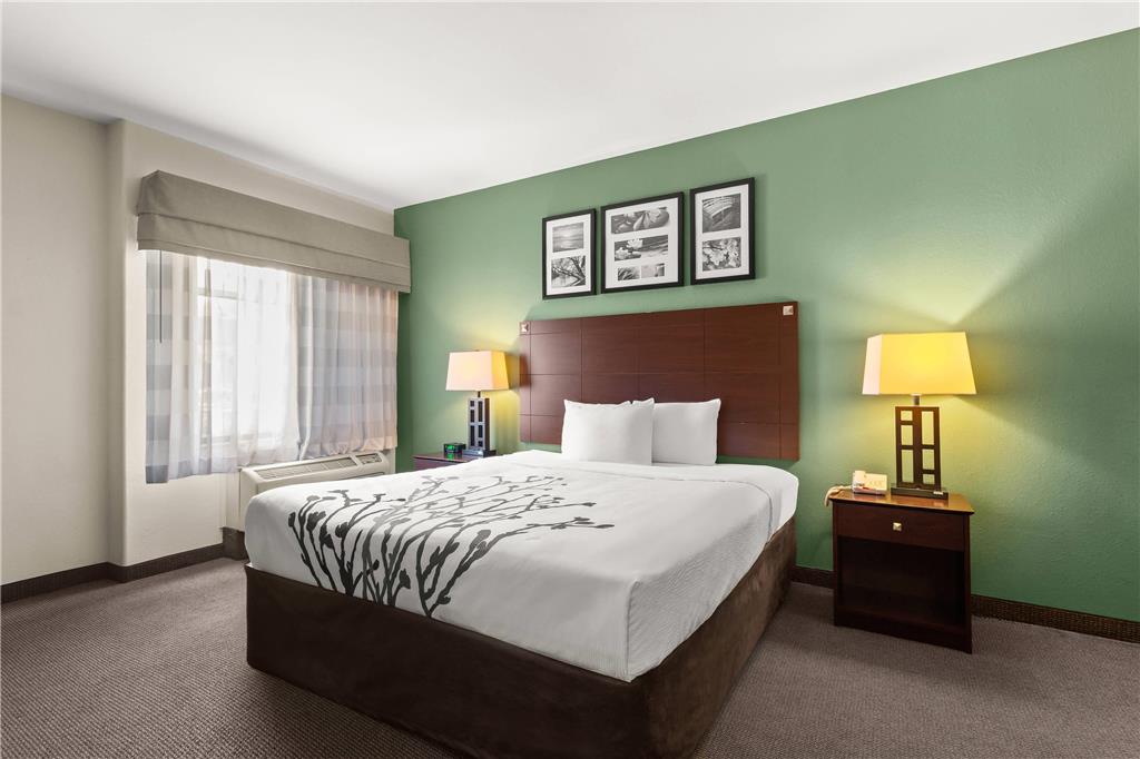Sleep Inn & Suites Bush Intercontinental IAH East - photo 18