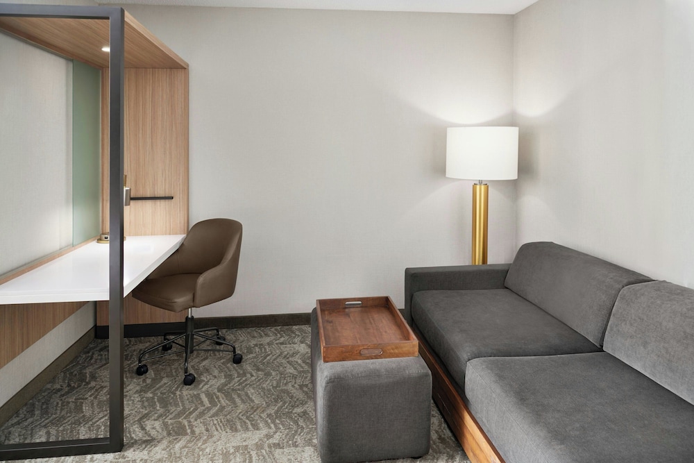 SpringHill Suites by Marriott Lansing - photo 16
