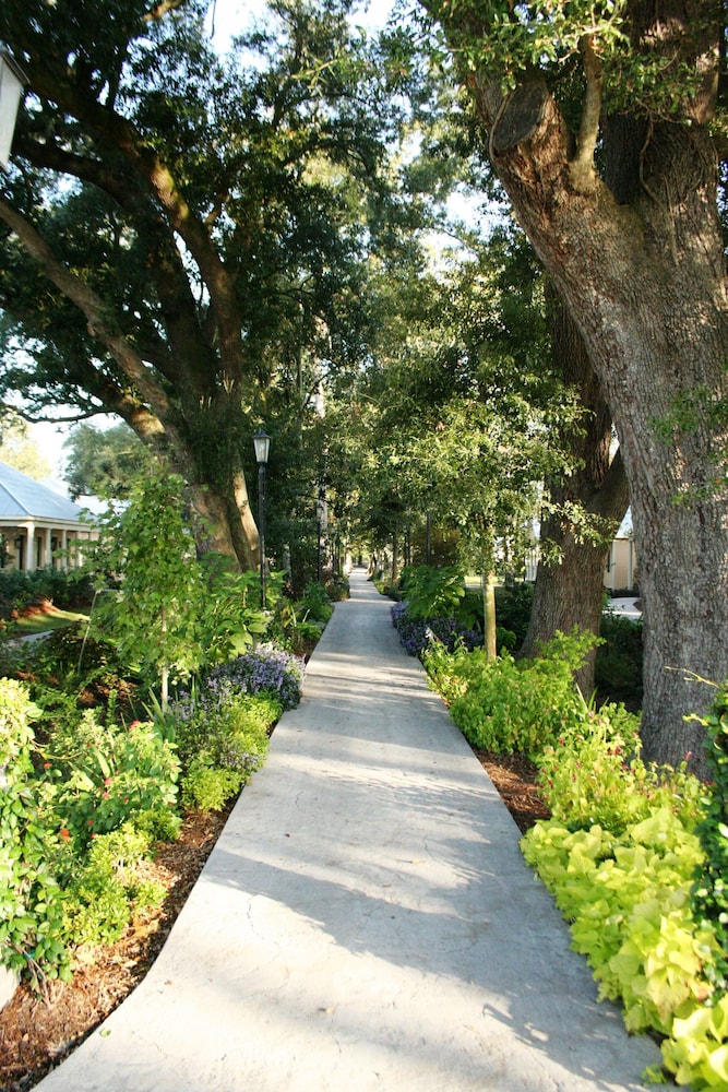 Houmas House Plantation and Gardens - photo 42