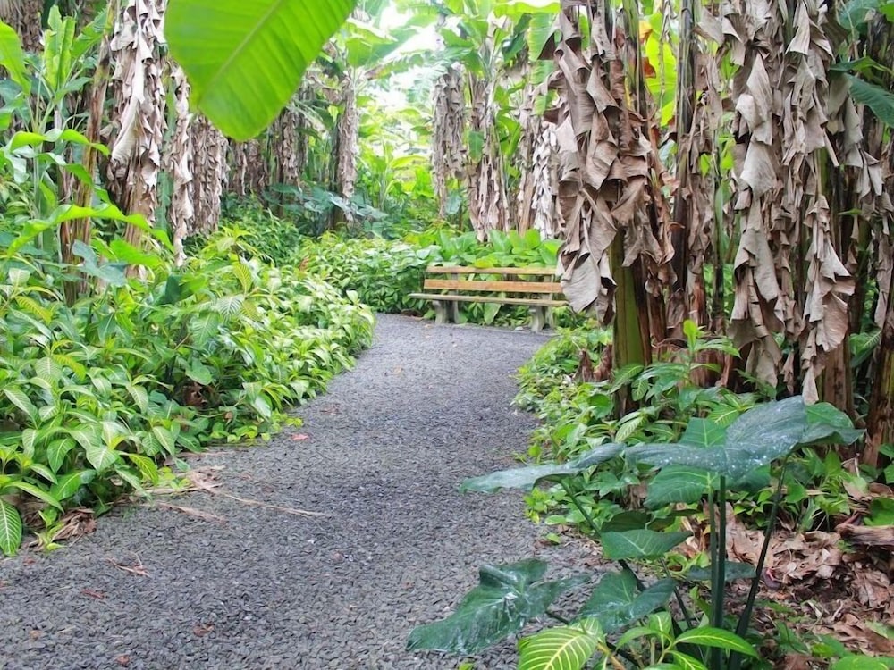 Dolphin Bay Hotel — Hilo