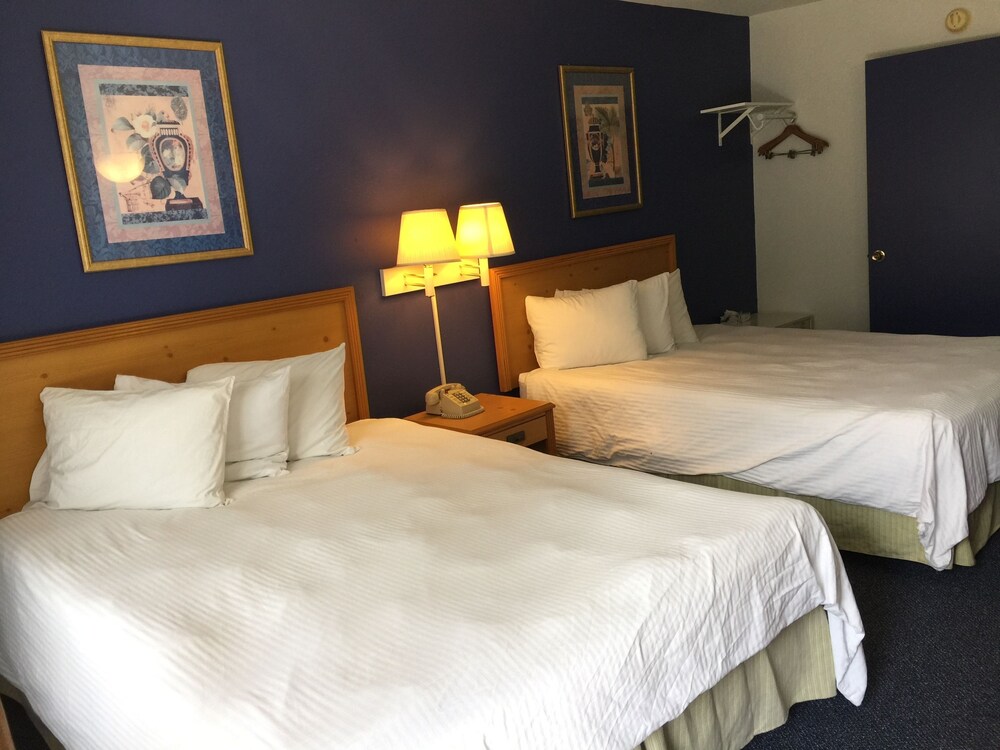 Bay Inn and Suites at Seaworld - photo 23