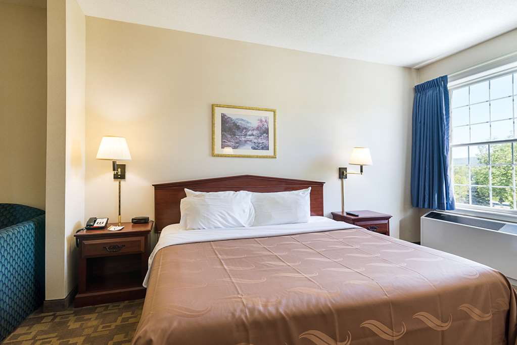 Quality Inn & Suites Schoharie near Howe Caverns - photo 23