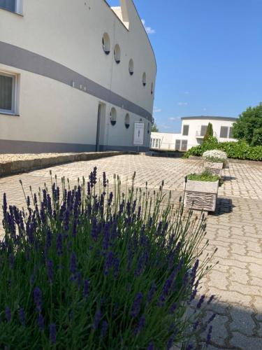Nautilus Étterem és Panzió — hotel in Dabas