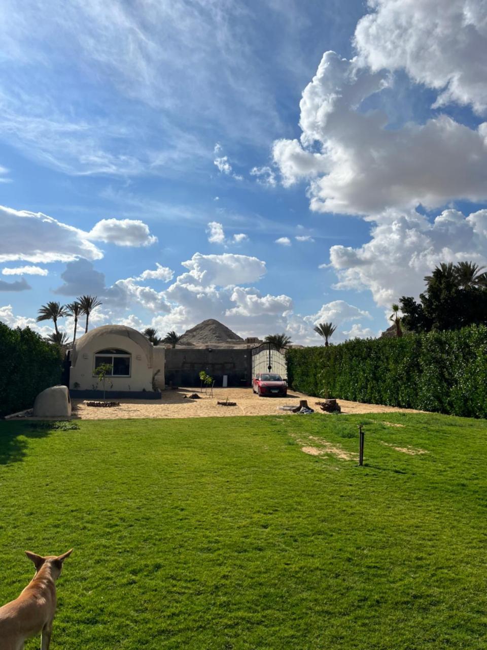 Sahure Pyramid View Inn