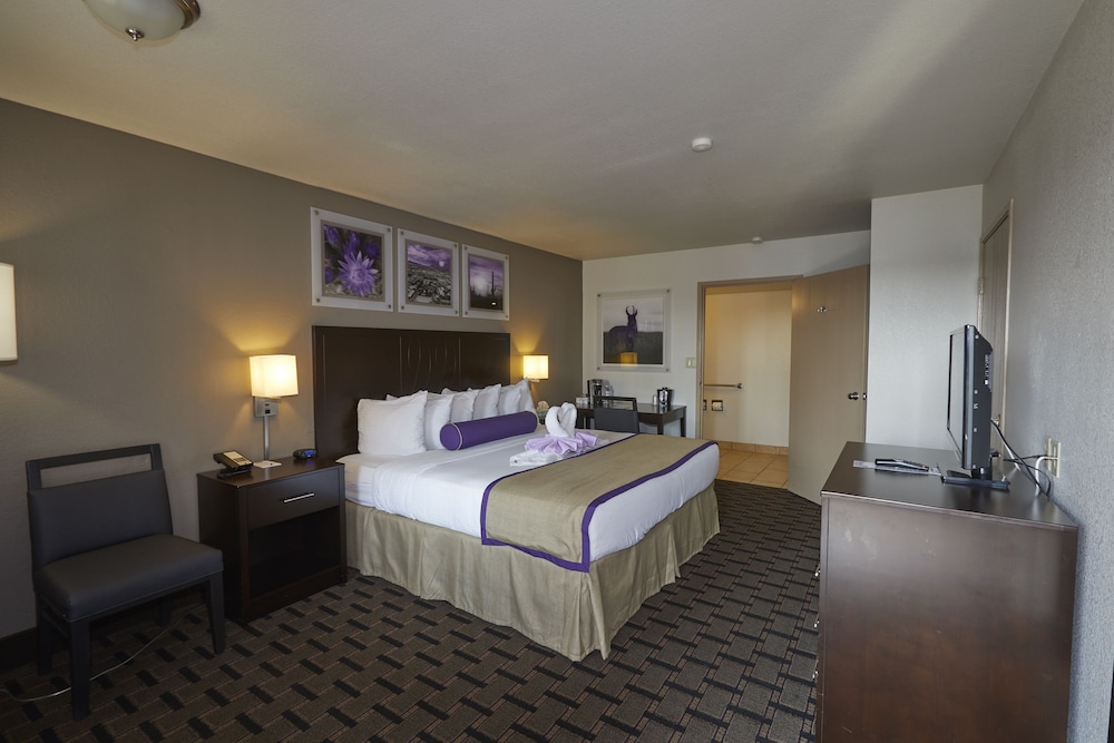 Grand Canyon University Hotel - photo 28