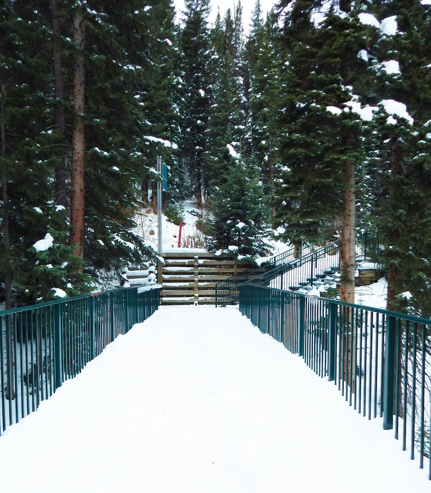 Iron Horse by Stay Winter Park - photo 34