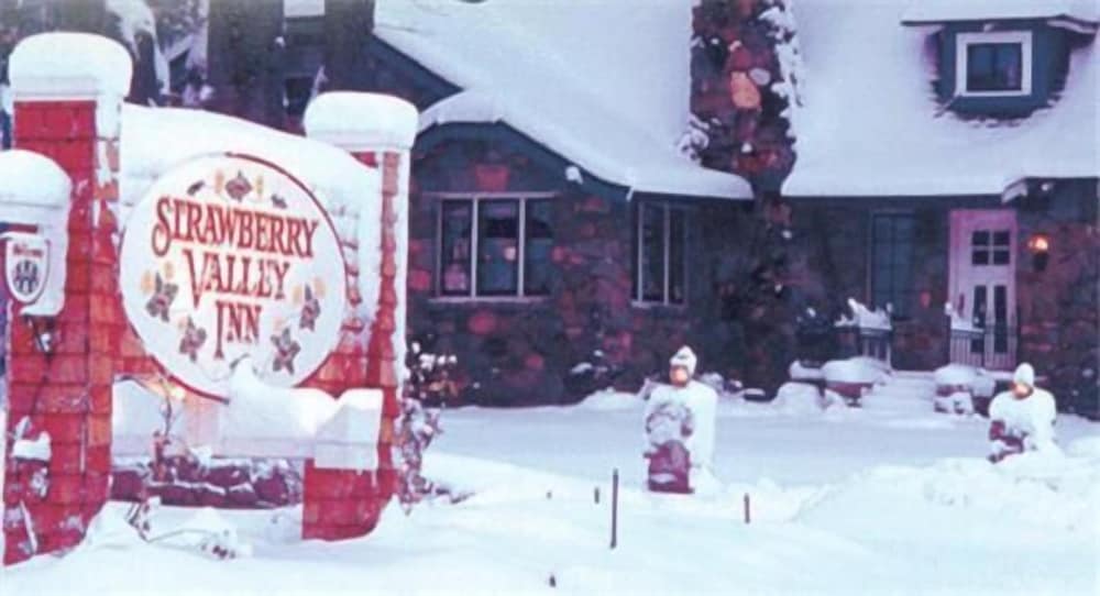 Strawberry Valley Inn - photo 24