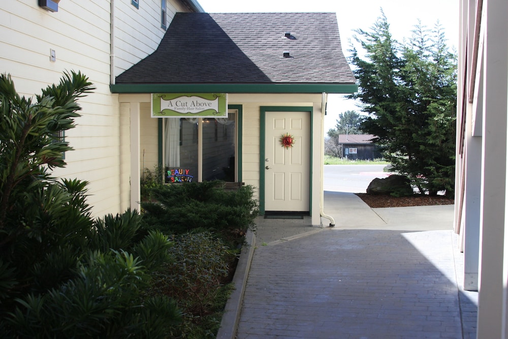 Emerald Dolphin Inn & Mini Golf - photo 21