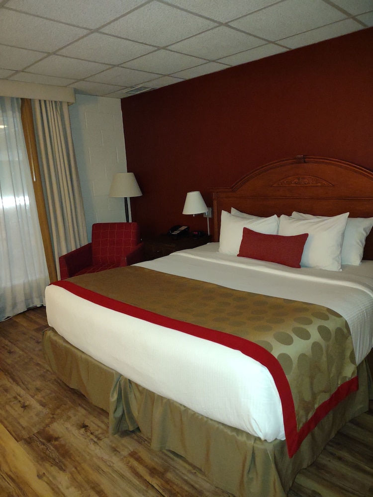 Ramada by Wyndham Albert Lea - photo 36