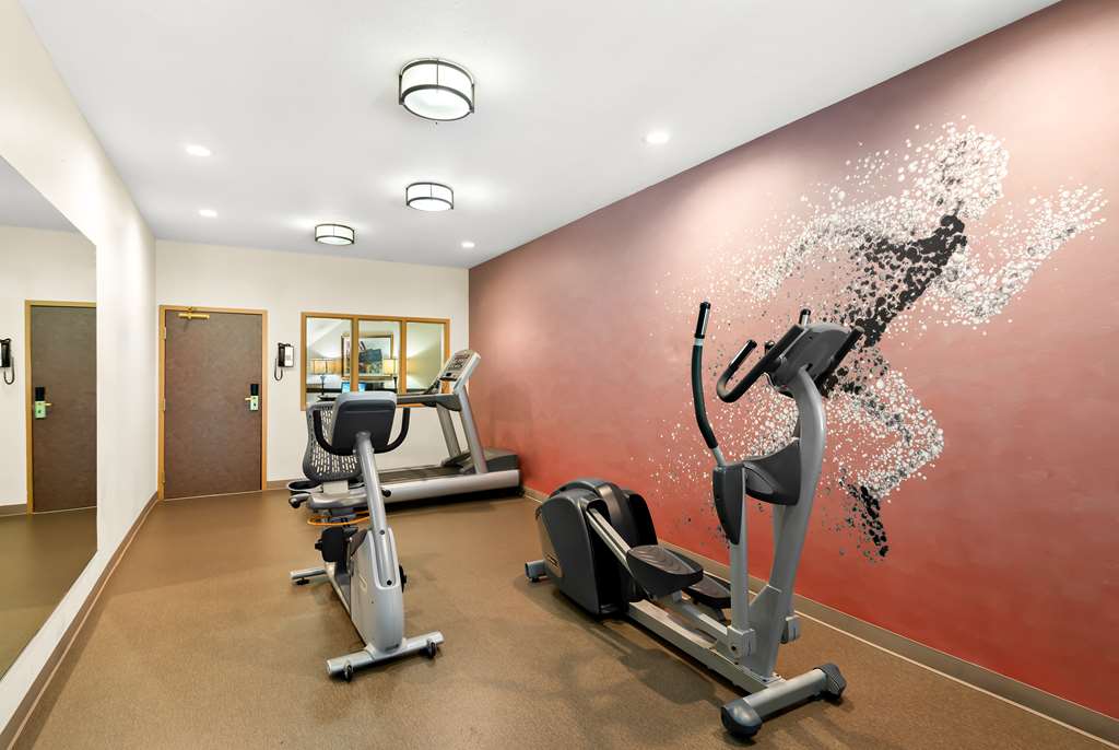 Best Western Palmyra Inn & Suites - photo 5