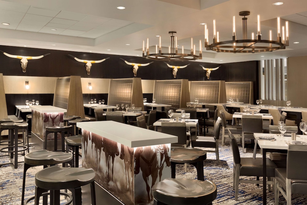Embassy Suites by Hilton Dallas DFW Airport North - photo 50
