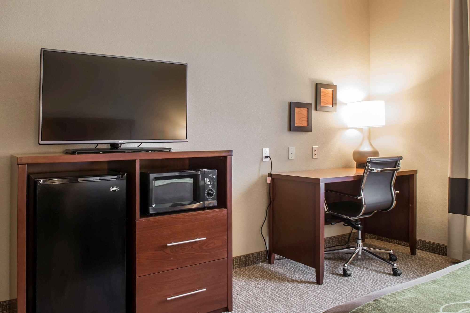 Comfort Inn Edinburg South - photo 30