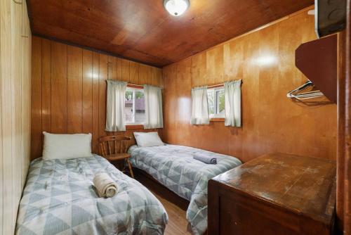 Dive into Nature in Unknown City, Canada