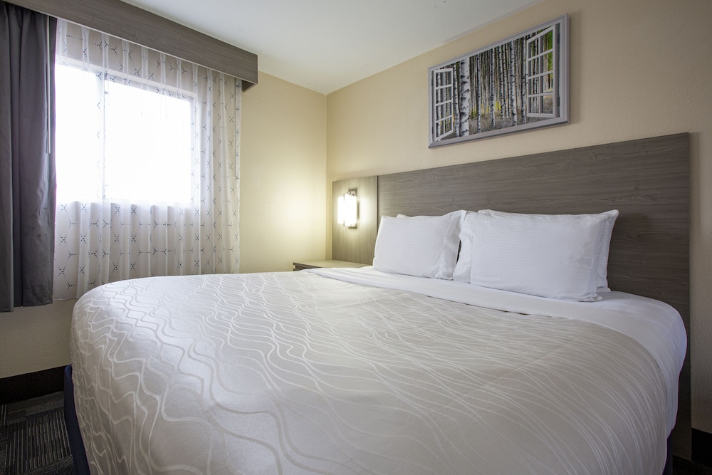 Hotel Aspen InnSuites Flagstaff Grand Canyon - photo 25