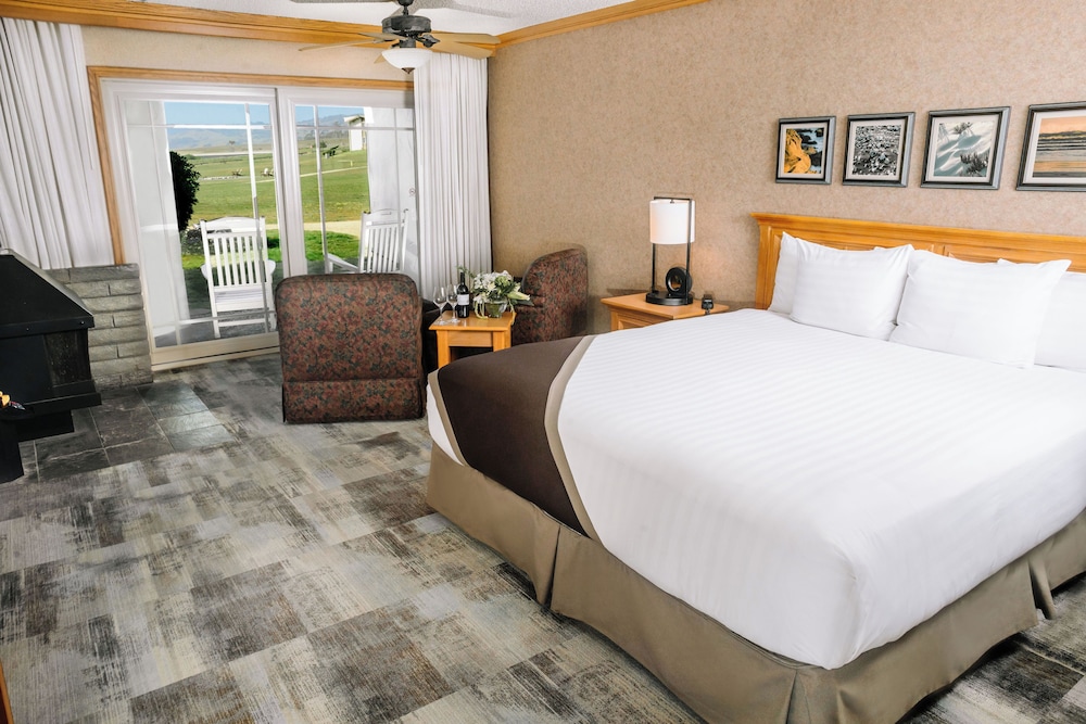Cavalier Oceanfront Resort - photo 13