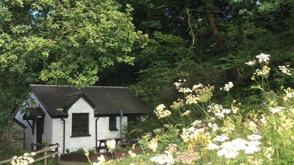 Oak Tree Cottage — 4-Star Luxury Hotel in Cardigan, United Kingdom