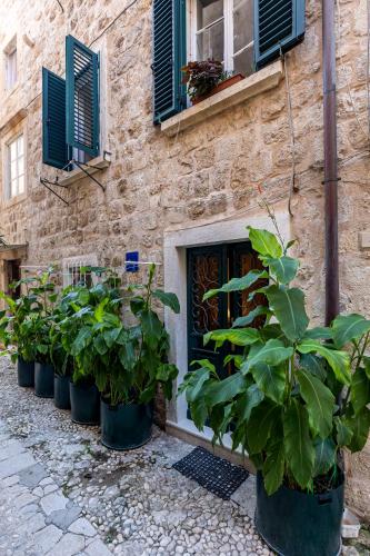 B&B Buza House