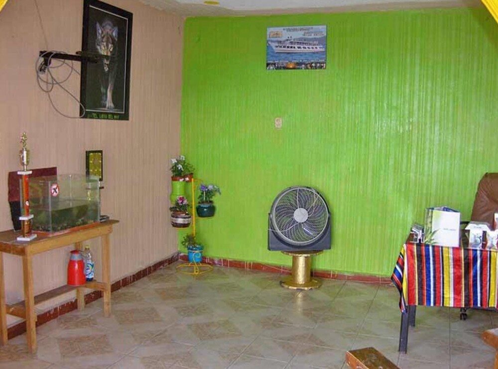 Hotel lobo del mar pet-friendly hotel Acapulco De Juarez