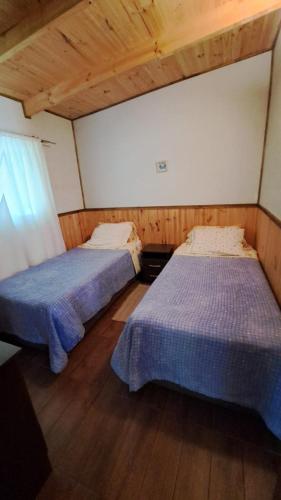 Cabaña al Pasos — Pucon — photo 3