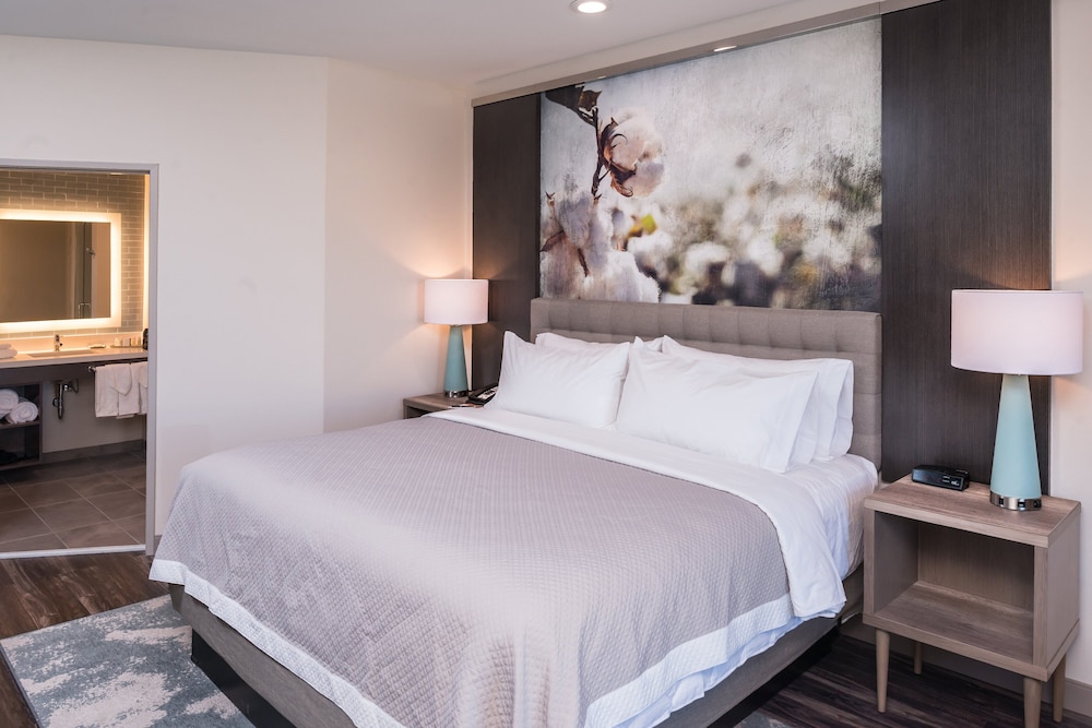 Hotel Indigo Frisco by IHG - photo 15