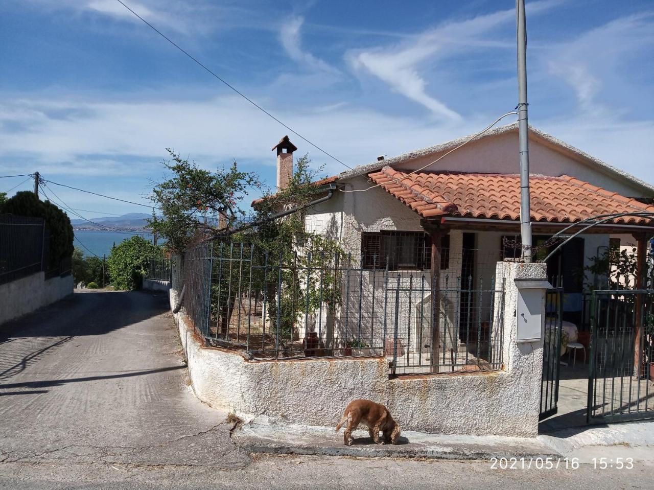 Sea view Dilesi — hotel in Dilesi