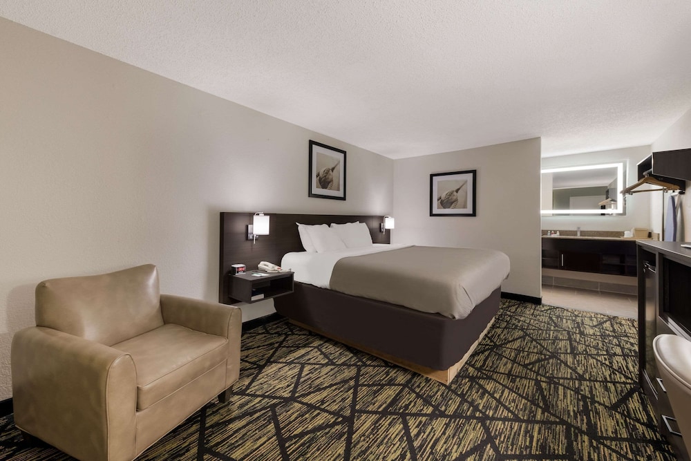 Quality Inn Orange Park Jacksonville - photo 13