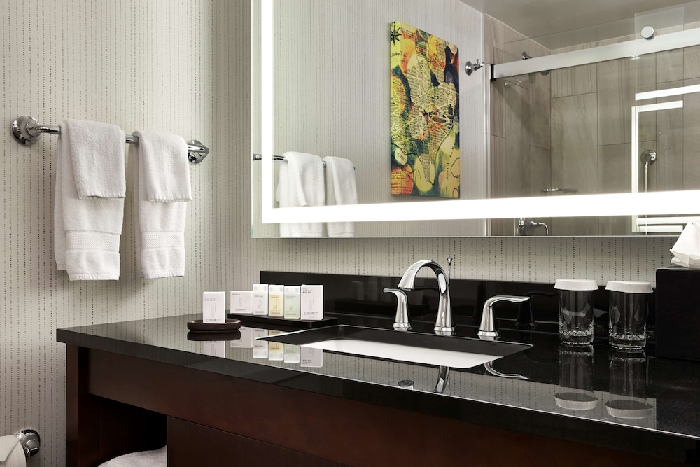 Embassy Suites by Hilton Washington DC Chevy Chase Pavilion - photo 26