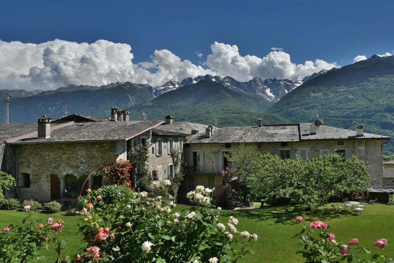La Rosa al Roseto del Drago — hotel in Ponte In Valtellina
