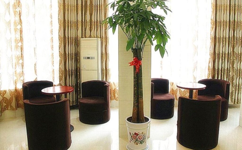 Greenhouse shell Hotel — hotel in Dongtai