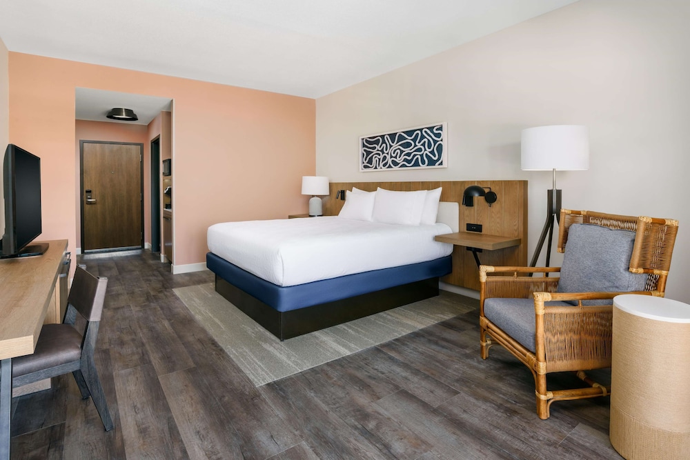 Hilton Garden Inn St. Pete Beach - photo 16