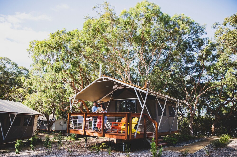Port Stephens Koala Sanctuary — hotel in One Mile